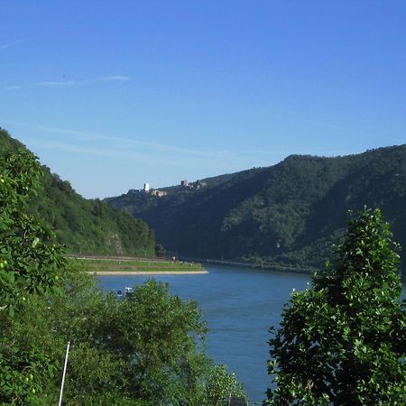 Pension / Ferienwohnungen Scheid Kestert ภายนอก รูปภาพ