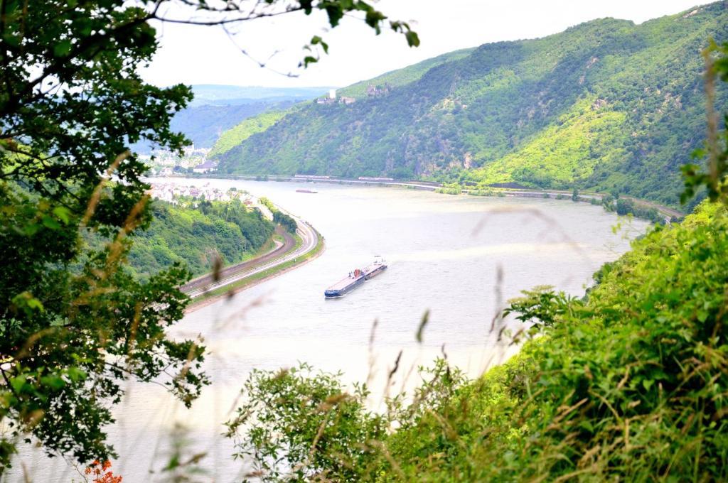 Pension / Ferienwohnungen Scheid Kestert ภายนอก รูปภาพ