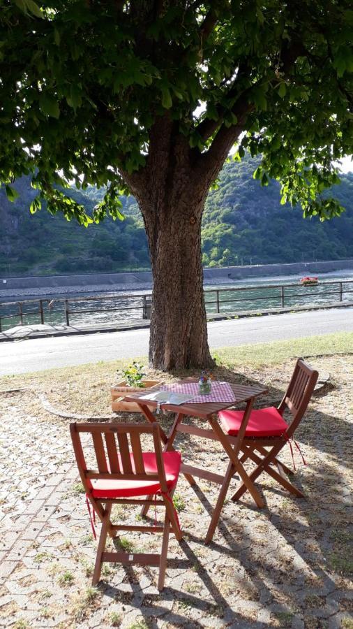 Pension / Ferienwohnungen Scheid Kestert ภายนอก รูปภาพ