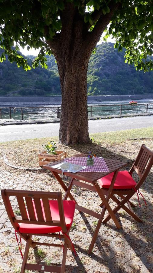 Pension / Ferienwohnungen Scheid Kestert ภายนอก รูปภาพ